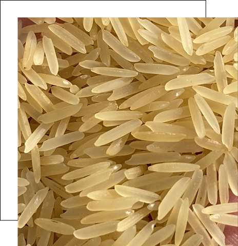 Golden Sella Basmati